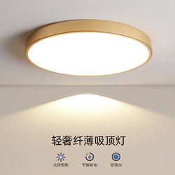 High-Quality Ceiling Lamp Led Light Luxury Style Bedroom Lamp Ultra-Thin Balcony Room Master Bedroom Lighting Fixtures