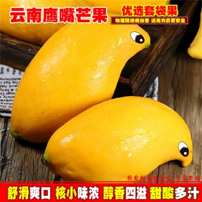 云南鹰嘴芒黄皮芒果套袋甜心新鲜热带水果套袋生态果3-10斤装包邮