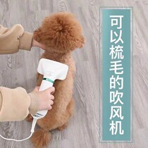 Pet electric hair dryer bath artifact blowing hair drying quick-drying mute dog cat with blow-dry pulling one comb