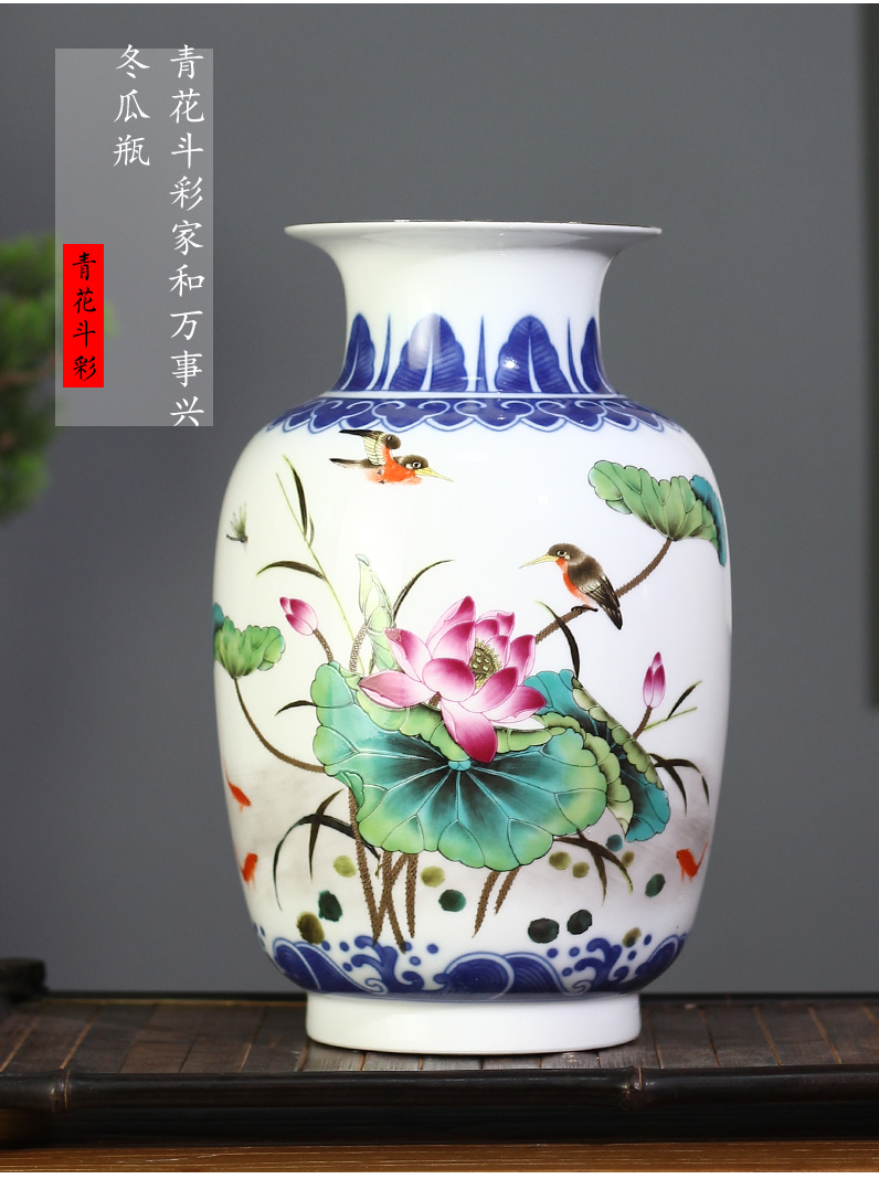 See Colour porcelain dou jingdezhen ceramic vases, flower arranging floret bottle sitting room mesa penjing collection gifts