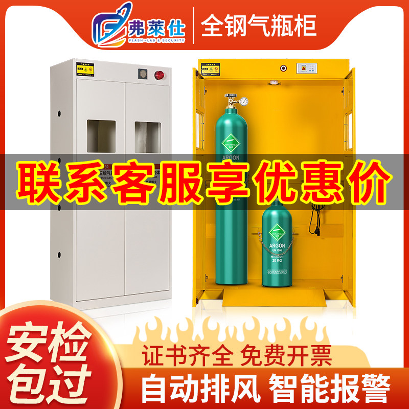 弗莱仕全钢气瓶柜安全柜实验室双瓶液化气煤气罐乙炔氮防爆气瓶柜