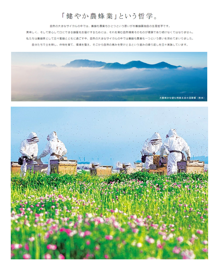 【日本直郵】杉養蜂園水果蜂蜜柚子果汁蜜富含VC 柚子味500g