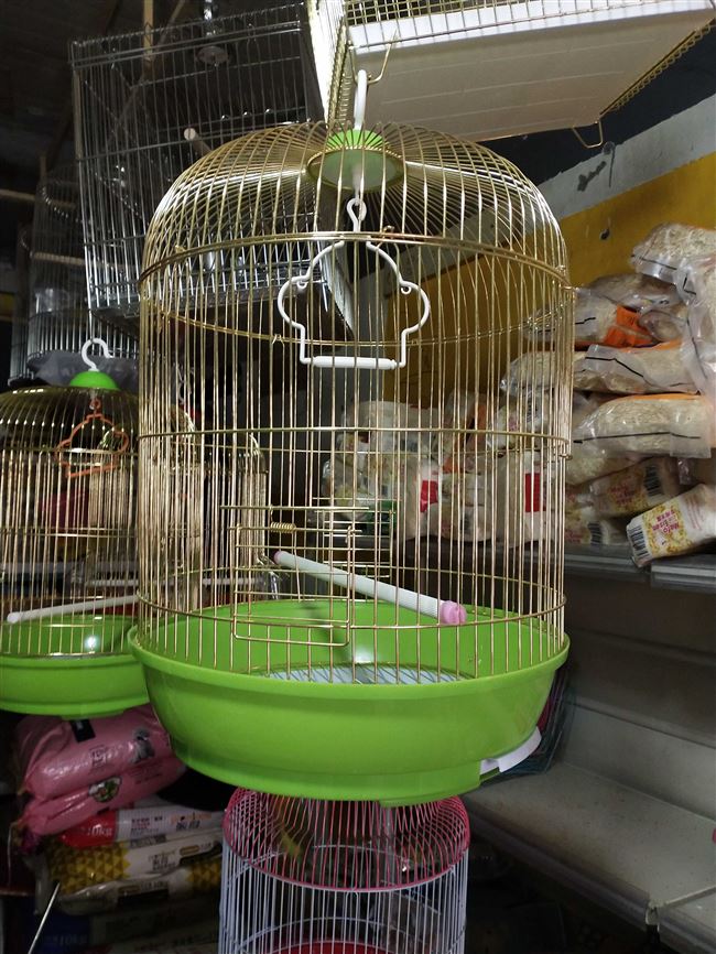 Kim loại starling lồng Xuanfeng 鹩 vẹt Ac keo chim lồng phổ chim lồng chim lớn cung cấp lồng chim bồ câu Tân Cương - Chim & Chăm sóc chim Supplies lòng chào mào đẹp