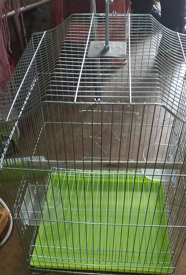 Kim loại starling lồng Xuanfeng 鹩 vẹt Ac keo chim lồng phổ chim lồng chim lớn cung cấp lồng chim bồ câu Tân Cương - Chim & Chăm sóc chim Supplies lòng chào mào đẹp