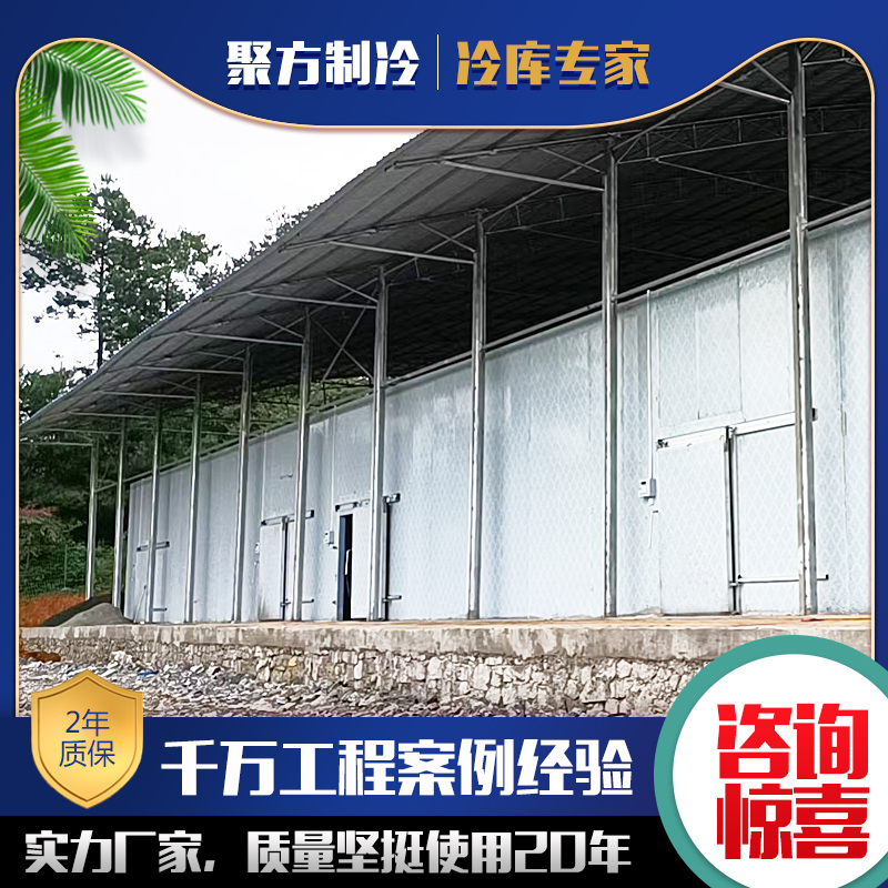 Fruit and vegetable Seafood fresh meat frozen household large freezer Small refrigerator Full set of equipment installation customization