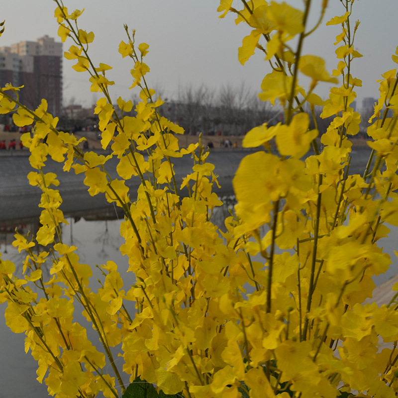 Simulation rapeseed flower silk flower fake flower Artificial flower Wedding background with flower shooting props flower factory direct sales