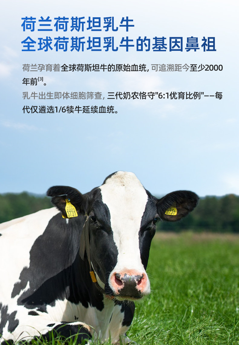 安享好物 安享B级纯奶-荷高脱脂纯牛奶  