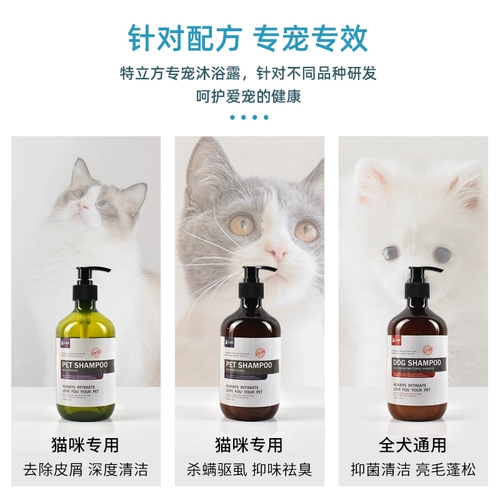 Гель для душа, дезодорант, шампунь, банные принадлежности