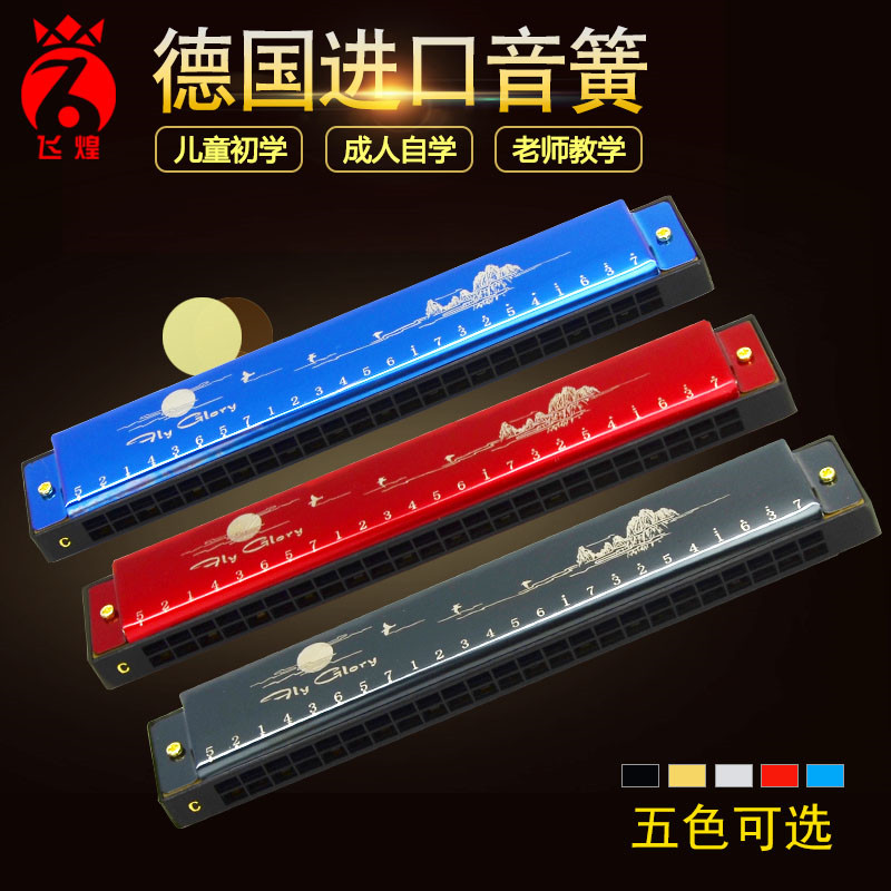 Feihuang harmonica children's beginner students adult advanced 24-hole polyphonic C tune professional entrance organ instrument