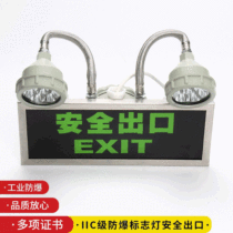 IIC grade stainless steel explosion-proof double-head emergency light safety exit dual-purpose explosion-proof double-head emergency light