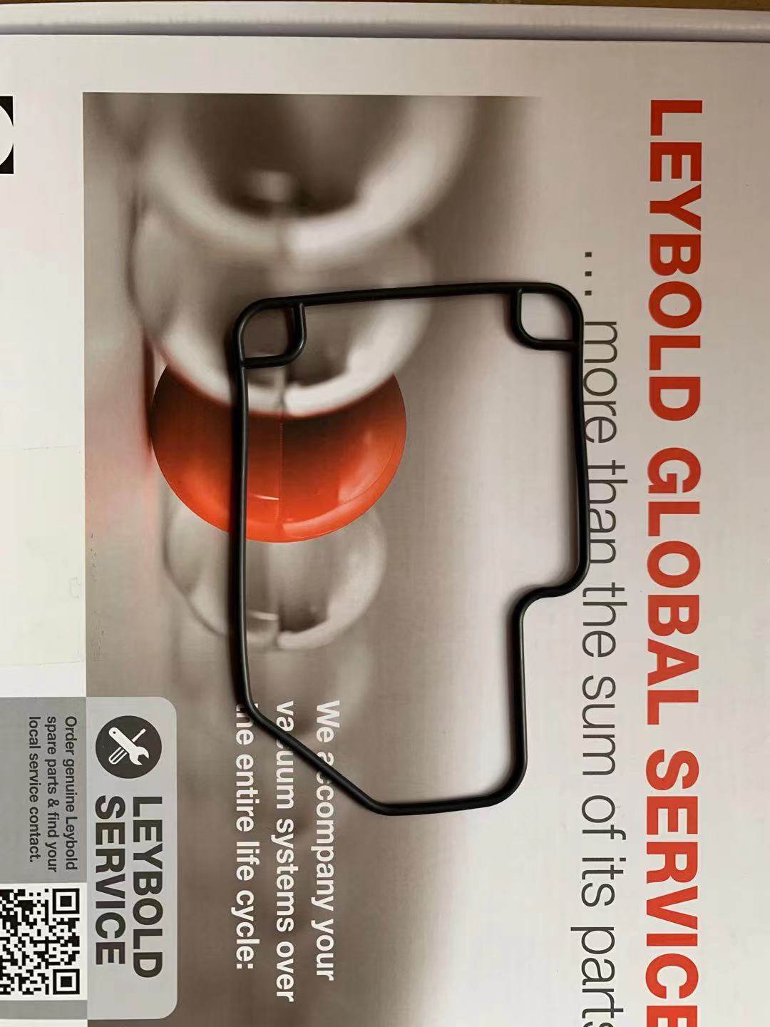 Leybold Germany Leybold SV100B fuel tank O ring ES971456811