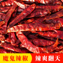 Dried chili special spicy super spicy death pepper Chili king Indian Devil 50g cooking seasoning Any full 6 pieces