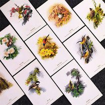 (Zeng Xiaolians Flower and Bird Sketch) A set of 10 meticulous vintage paintings produced by Rong Baozhai and collected by mail.