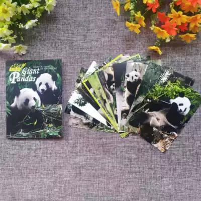 Giant Panda Postcards 12 A set of Forbidden City Publishing House sent foreign friends to copy cards Super cute greeting cards to commemorate