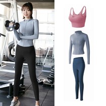 Sport Jacket Autumn Winter Style Women Tight Fit Yoga Long Sleeve Blouse Jacket Zipped Cardiovert Gym Gym Fitness Jacket Suit