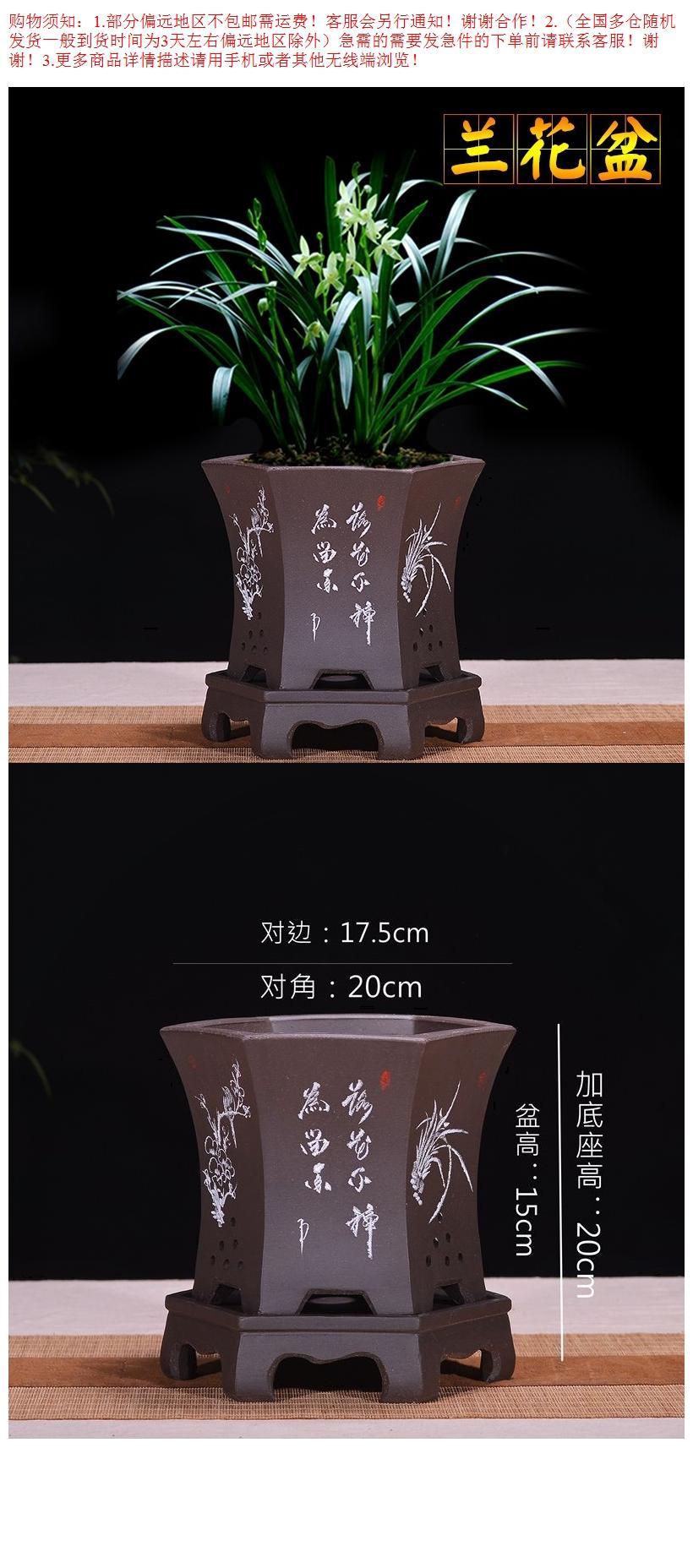 Yixing purple orchid basin clivia bluegrass bonsai ceramic pot with tray indoor miniascape special pot sitting room