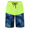 Green digital print shorts