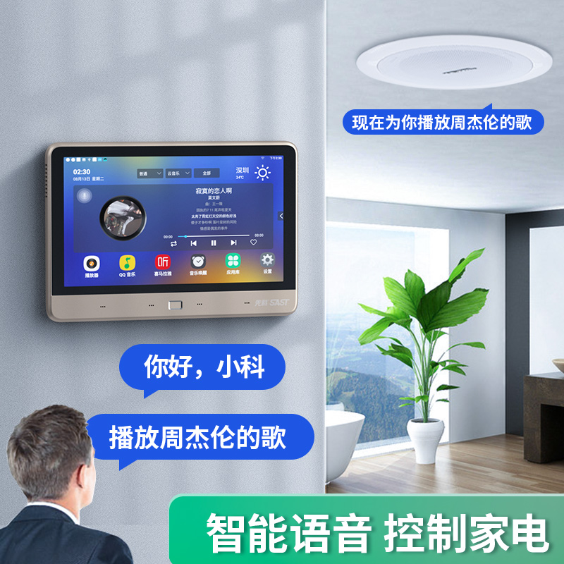 Smart Bluetooth home background music host Embedded living room ceiling sound Indoor ceiling speaker