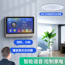 Smart Bluetooth home background music host Embedded living room ceiling audio Indoor ceiling speaker