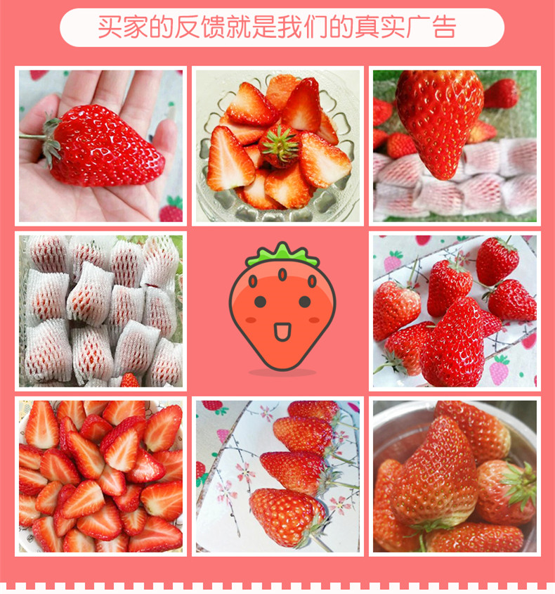 当季现货 奶油草莓 2斤 图3