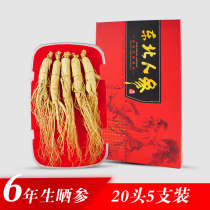 Raw ginseng sun-dried ginseng wild ginseng forest ginseng Changbai Mountain dried ginseng white ginseng northeast slices all must be pruned wine gift box