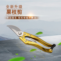 Pruning fruit tree pruning scissors scissors flower scissors Gardening fruit tree garden floral pruning branch scissors powerful artifact