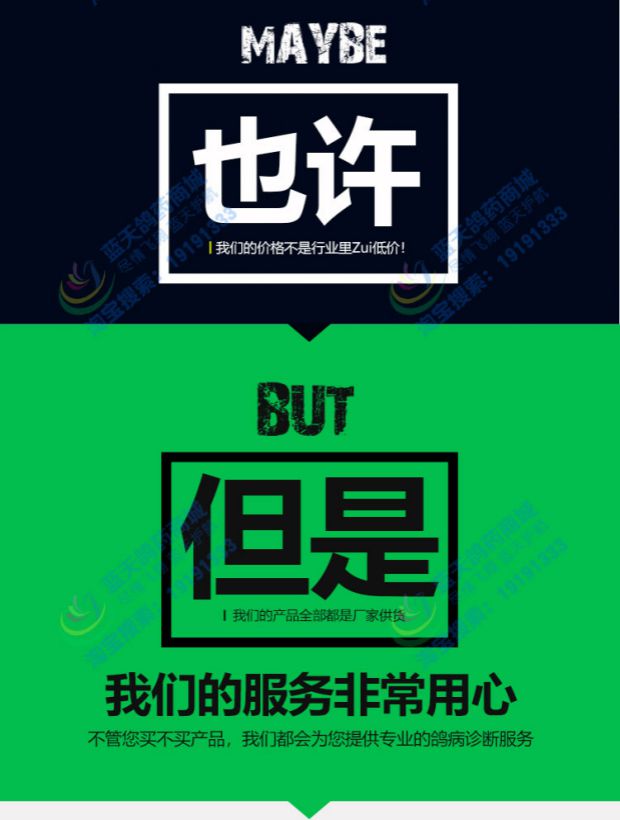 Thuốc giảm đau chim bồ câu lên xuống nhanh chóng đờm dansone đờm thức ăn đờm adenovirus viện trợ đầu tiên nuôi chim bồ câu cung cấp thuốc chim bồ câu - Chim & Chăm sóc chim Supplies 	cám cho chim chào mào thay lông	