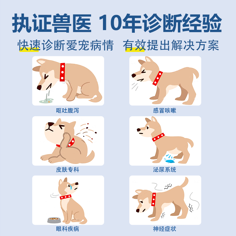 如何加入宠物犬交流群？聊聊2026年的智能化养宠社交趋势