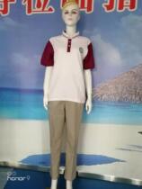 Hangzhou Mayor River Senior Middle School Long River New High Three Summer Clothes A 21 School Uniform Summer Short Sleeve Summer Clothing Blouse