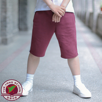 Shanghai Songjiang District Yueyang Primary School Summer Sports shorts (mens) school uniform with summer clothing pants