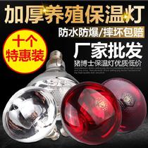 New promotional insulation bulb 275W Chicken Chick heating lamp pig baby animal farm special heater Pigpen
