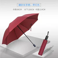 Быстрая длинная ручка * jujube красный