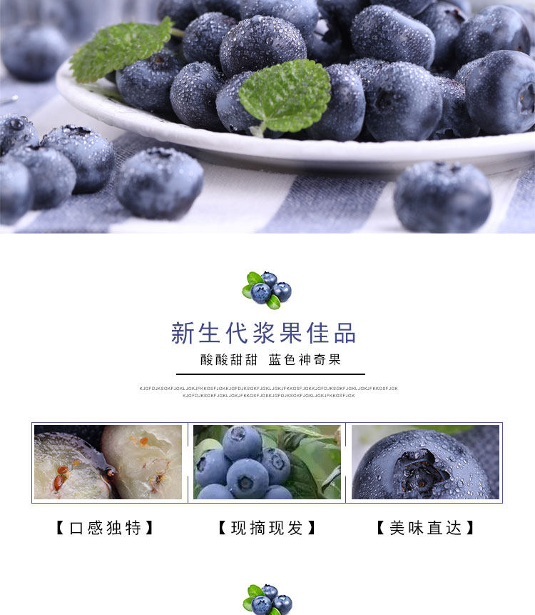 丹东 新鲜蓝莓鲜果 500g 现摘现发 图3