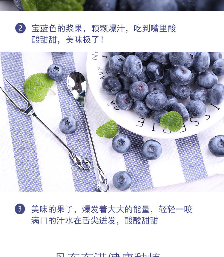 丹东 新鲜蓝莓鲜果 500g 现摘现发 图7