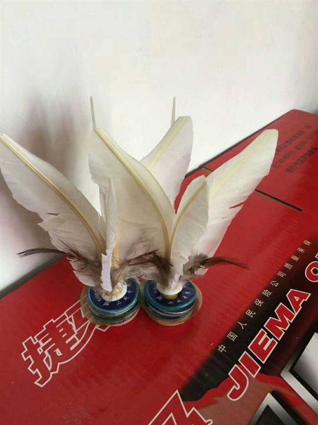 Erwei đặc biệt lớn bọ cạp trắng đá bọ cạp đá trò chơi thể dục dành cho người lớn đặc biệt 毽 bóng tóc thẳng 毽 - Các môn thể thao cầu lông / Diabolo / dân gian 	quả cầu đá lông gà