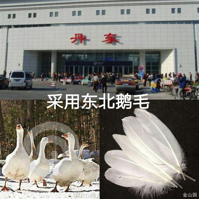 Erwei đặc biệt lớn bọ cạp trắng đá bọ cạp đá trò chơi thể dục dành cho người lớn đặc biệt 毽 bóng tóc thẳng 毽 - Các môn thể thao cầu lông / Diabolo / dân gian 	quả cầu đá lông gà