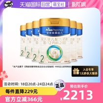 (Self-Employed) (New National Label) The Royal Dutch Merit Canel 2 segment 800 gr * 6 canned (6-12 months)