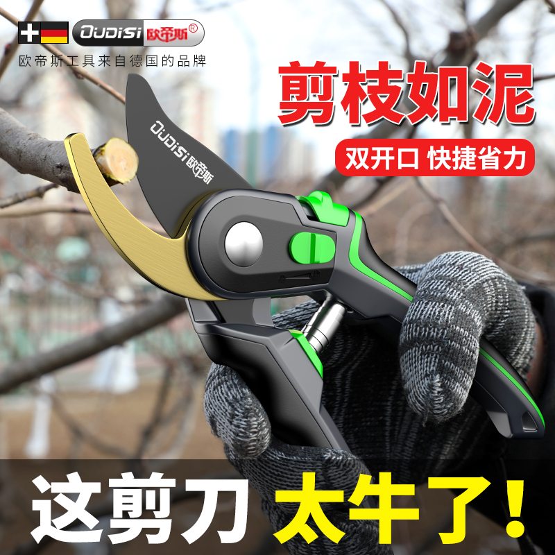 剪定鋏、園芸鋏、枝の剪定、果樹、特殊鋏、花の剪定、果樹、ブドウ鋏、工具