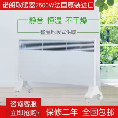 France imported Noirot norlang electric heater household living room energy-saving heater quick heat electric heater