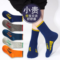 Boy Socks Pure Cotton Spring Autumn Style Boys All-cotton Soft Children Midbarrel Socks CUHK Boy 12 Year Old Student Sports Socks Damp