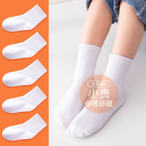 White Socks Children Pure Cotton Student Spring Autumn Thin Boy Little Girl Short Socks Leather Shoes Sport White Middle Cylinder Autumn Winter