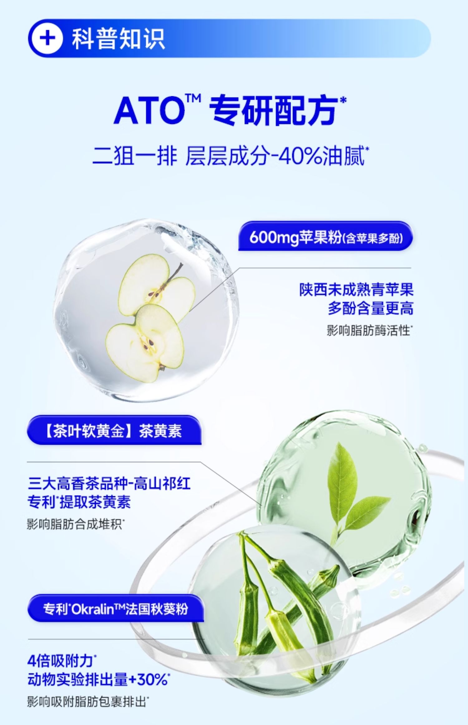 【中國直郵】 WONDERLAB 餐前控控片 白芸豆雙層壓片糖果 控卡控製糖碳油大餐救星 檸檬西柚味60片/盒