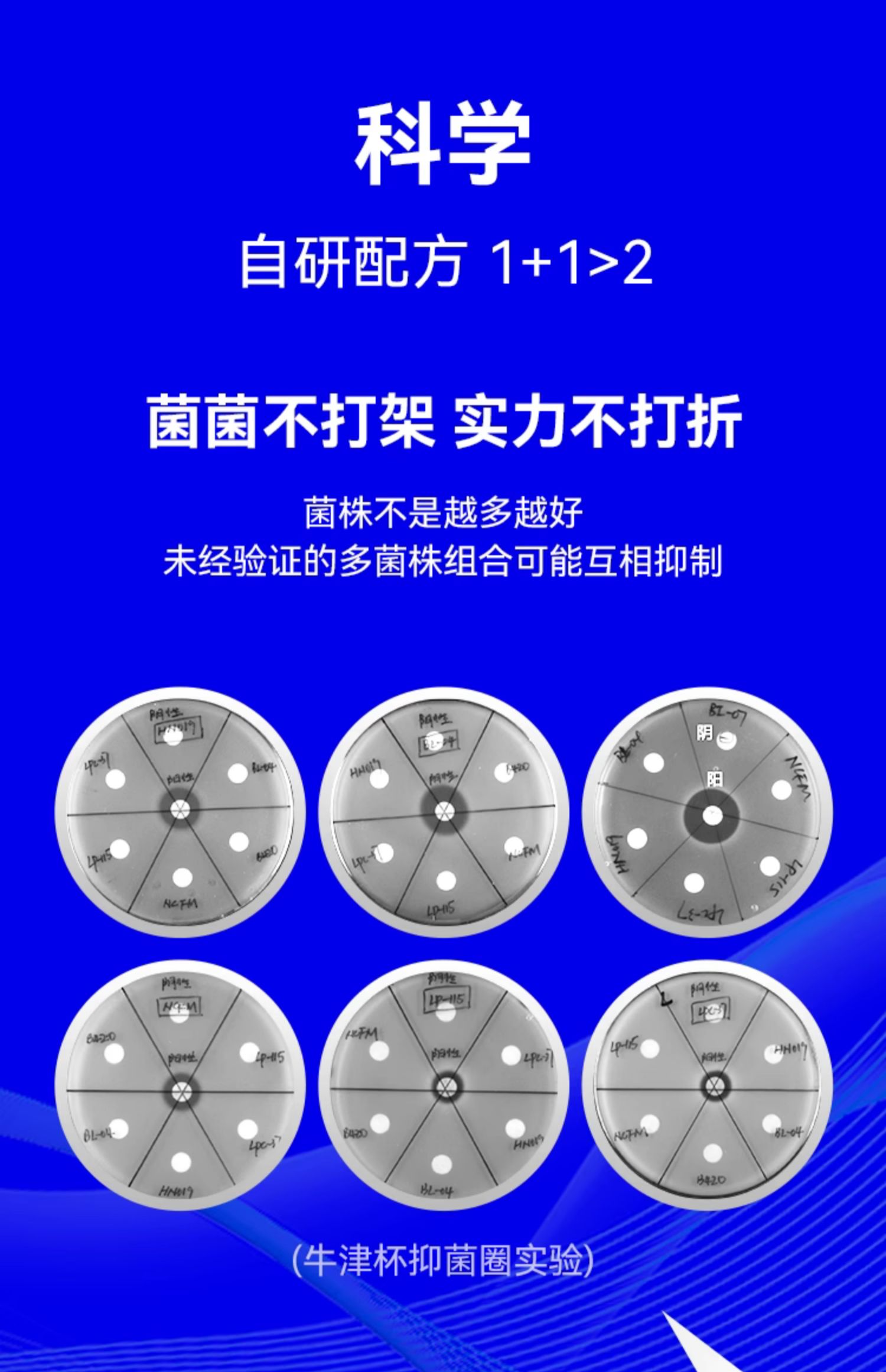 【中國直郵】萬益藍WONDERLAB 小藍瓶益生菌 即食乳酸菌飲品 呵護腸胃健康 2g*10瓶/盒