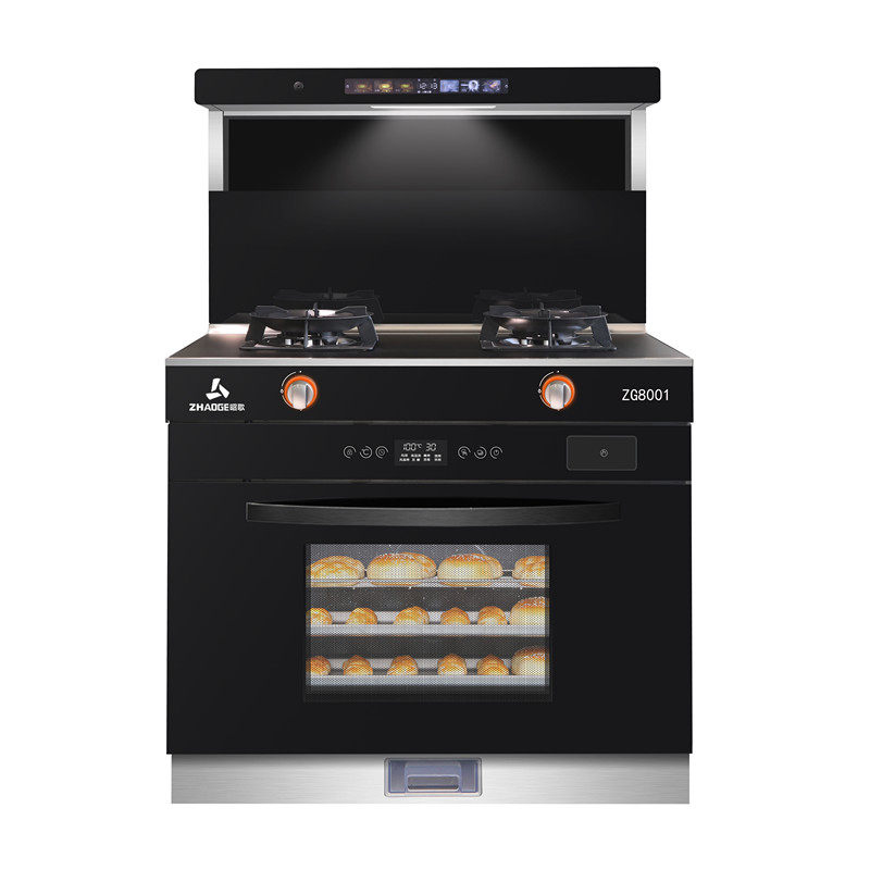 Shoog kitchen appliances and household steam disinfection box kitchen fume fuel cooker set JJT-ZG8001