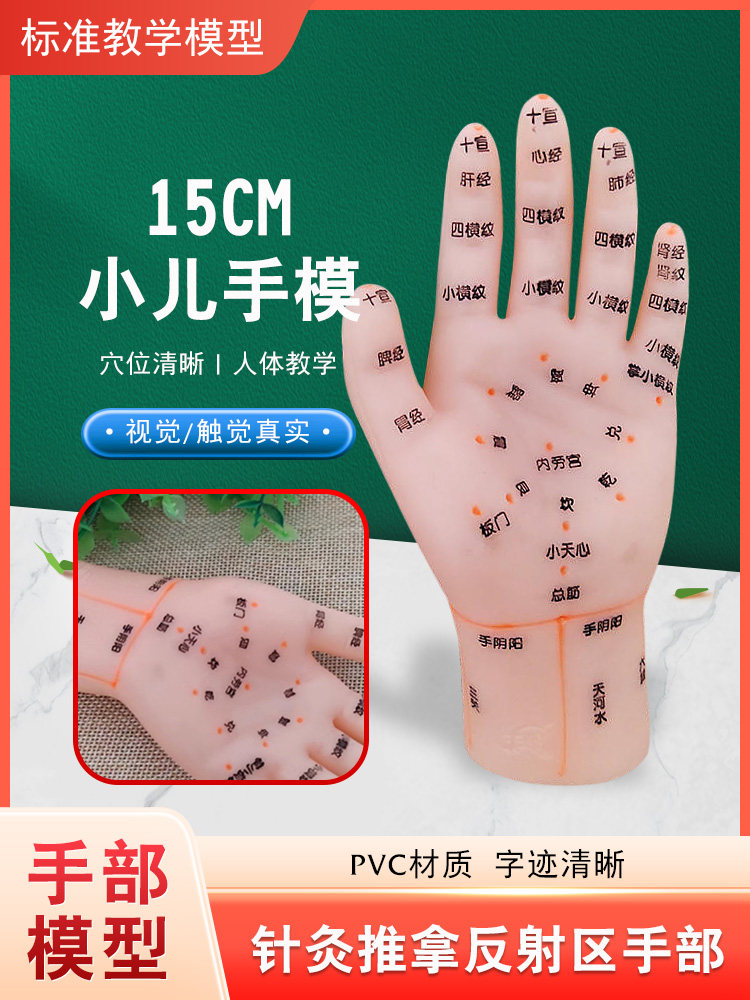 丰帆15CM小儿手部穴位模型针灸 推拿反射区中医穴位刻字清晰