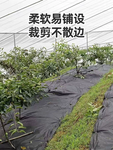 Антиграссная ткань, ткань сорняков прочная земля, фруктовый сад сад, травяная ткань, травяная ткань, сельскохозяйственная наземная ткань, оптом, оптом