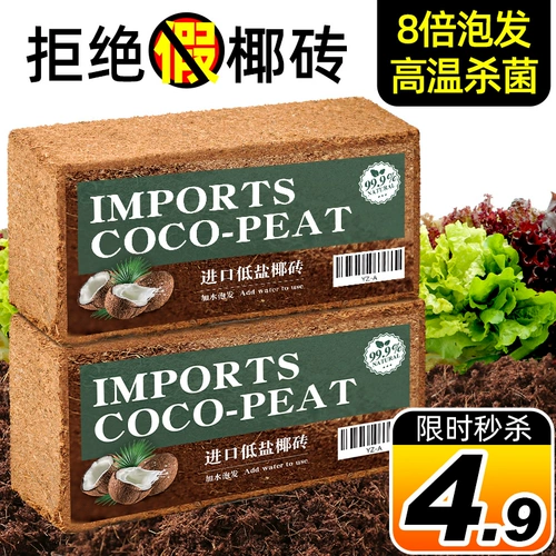 Кокосовое кирпичное питание почва почва Кокосовое кокосовое кокосовое кокосовое оболоч