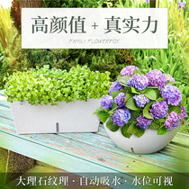 Self-absorbent sloth planting flower pots planted with watering-free plastic Vegetable Pot lettute Large numbers green loola Nordic minimis water storage