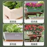 Овощная растительная коробочка прямоугольная яма