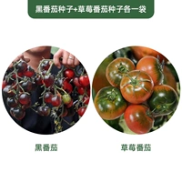 По одному пакетику семян черных томатов + семена клубничных томатов.